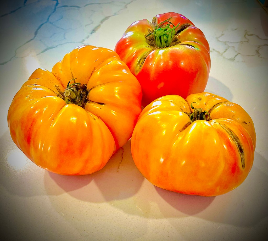 What the Hell Is AGI—And Where Are We Actually&nbsp;Going?